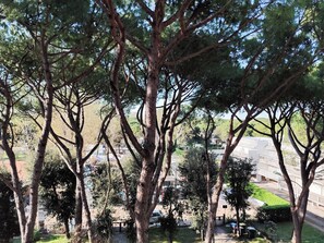 施設の敷地