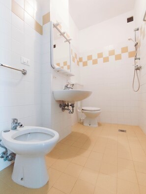 Een badkamer met een hygiëneschuiver, wastafel en toilet.