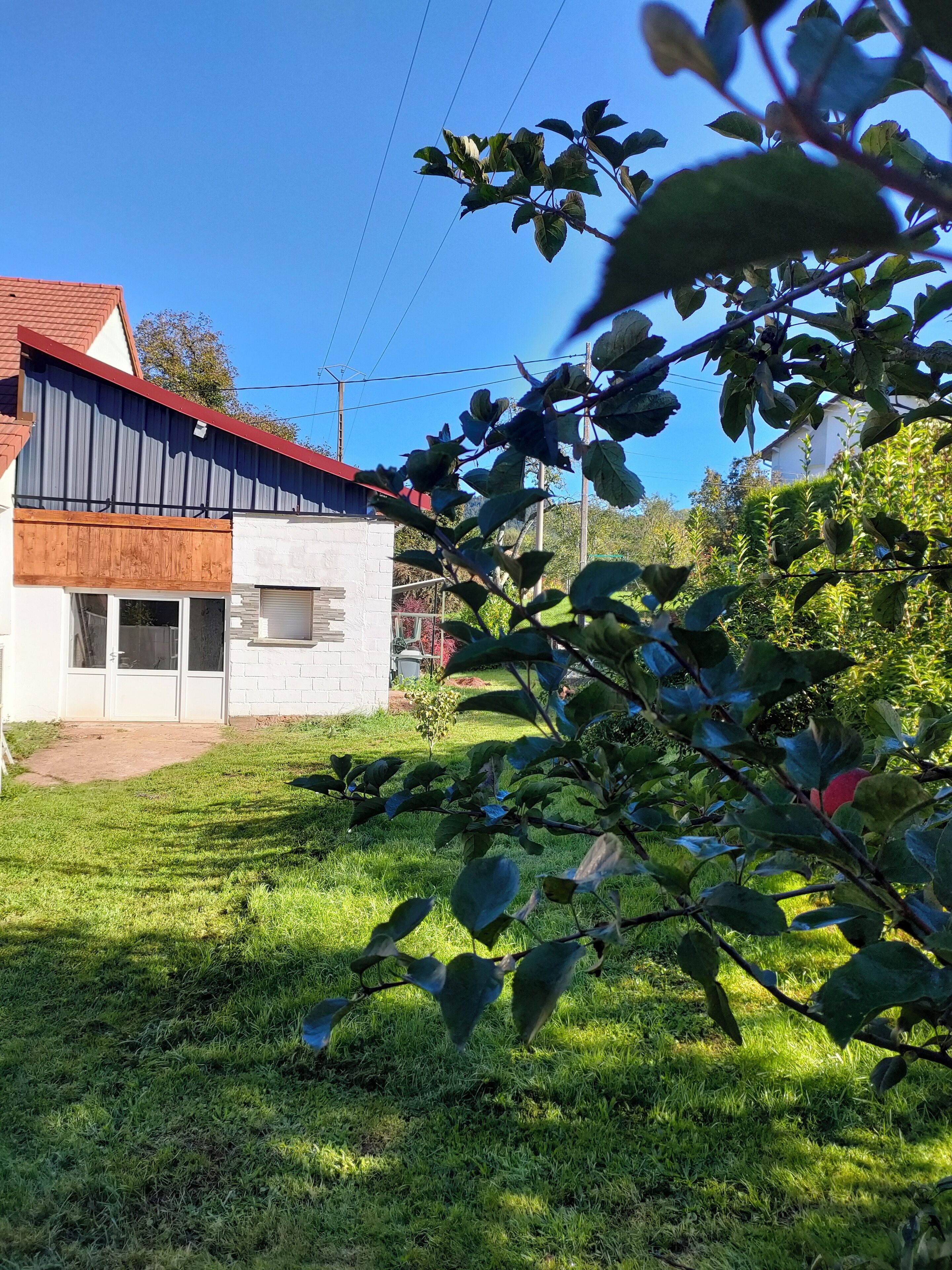 Área da propriedade