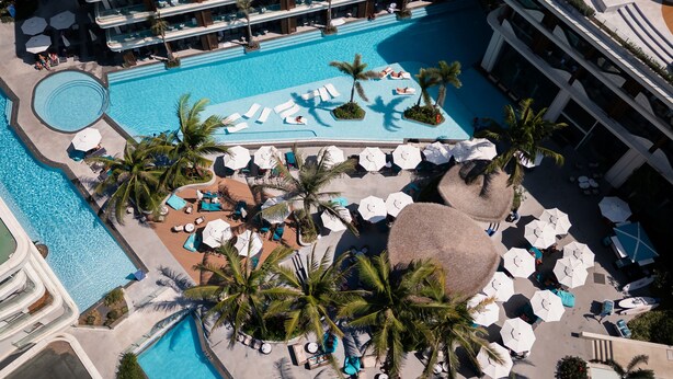 A rooftop pool with multiple sun loungers and umbrellas, surrounded by palm trees.