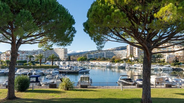 Un port de plaisance avec des bateaux amarrés, entouré d’arbres et avec des bâtiments en arrière-plan.