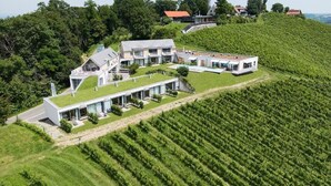 A modern villa with a flat roof, large windows, and a well-maintained garden, surrounded by lush greenery and vineyards. - At home in the location with pool in beautiful surroundings (Graßnitzberg)