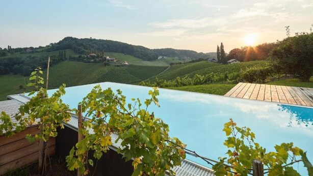 A swimming pool with a vineyard view, wooden deck, and a clear sky. - At home in the location with pool in beautiful surroundings (Graßnitzberg)