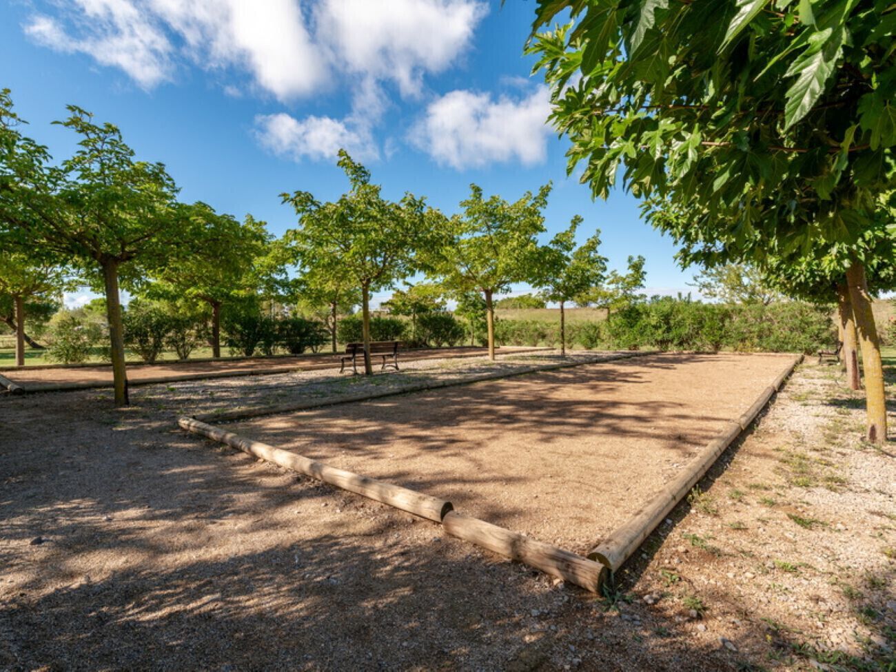 An outdoor area with a dirt surface, benches, and trees.