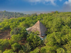 A thatched-roof structure surrounded by dense greenery, likely a lodge or eco-resort.