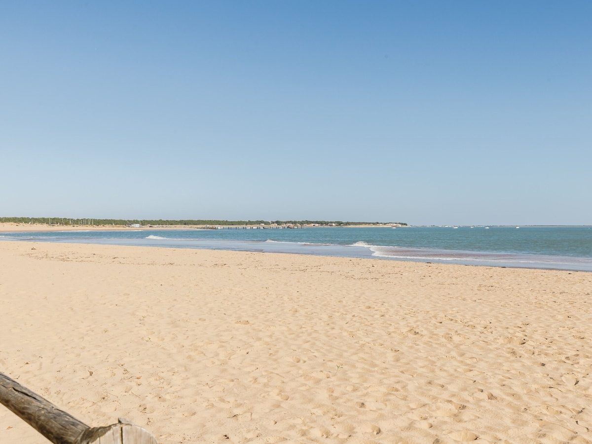 Imagen de perfil del propietario o de la propietaria