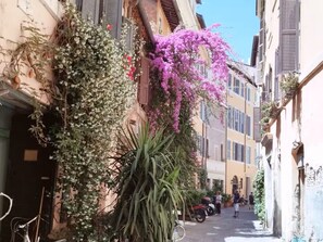 Una calle estrecha flanqueada por edificios, algunos con balcones y plantas.
