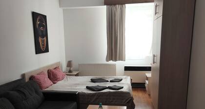 Snowy Loft Didveli