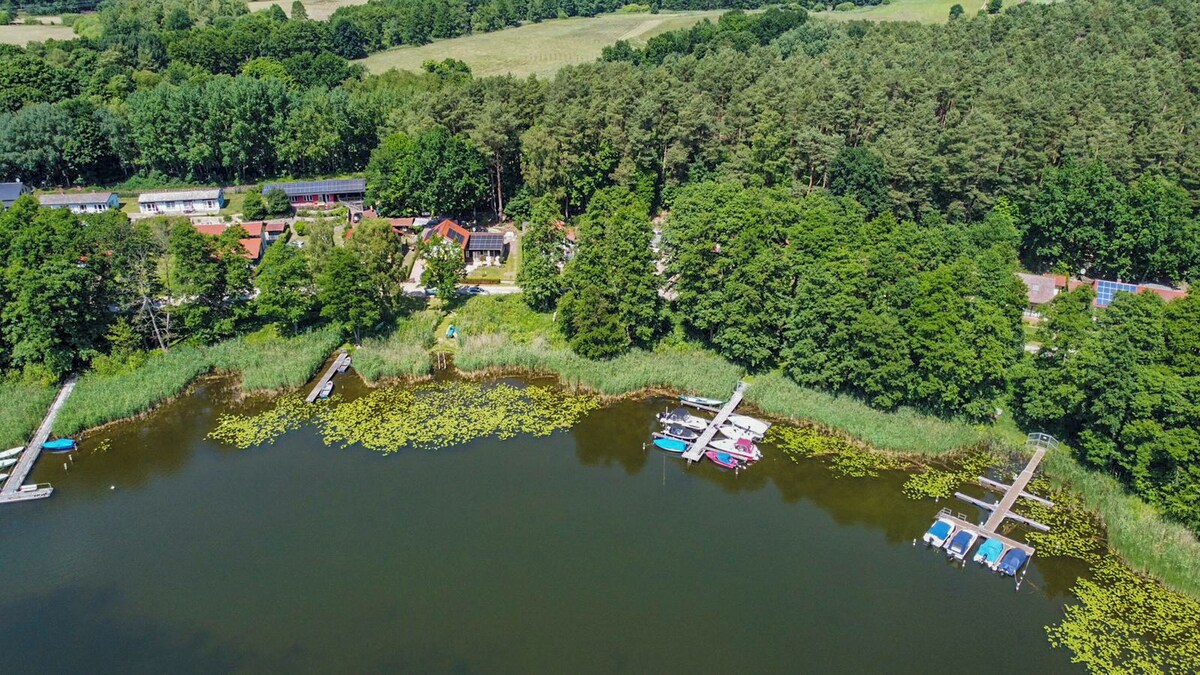 Imagen de perfil del propietario o de la propietaria