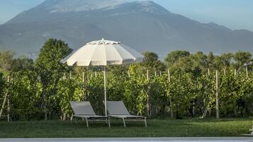 Seasonal outdoor pool, open 9:00 AM to 7:30 PM, pool umbrellas