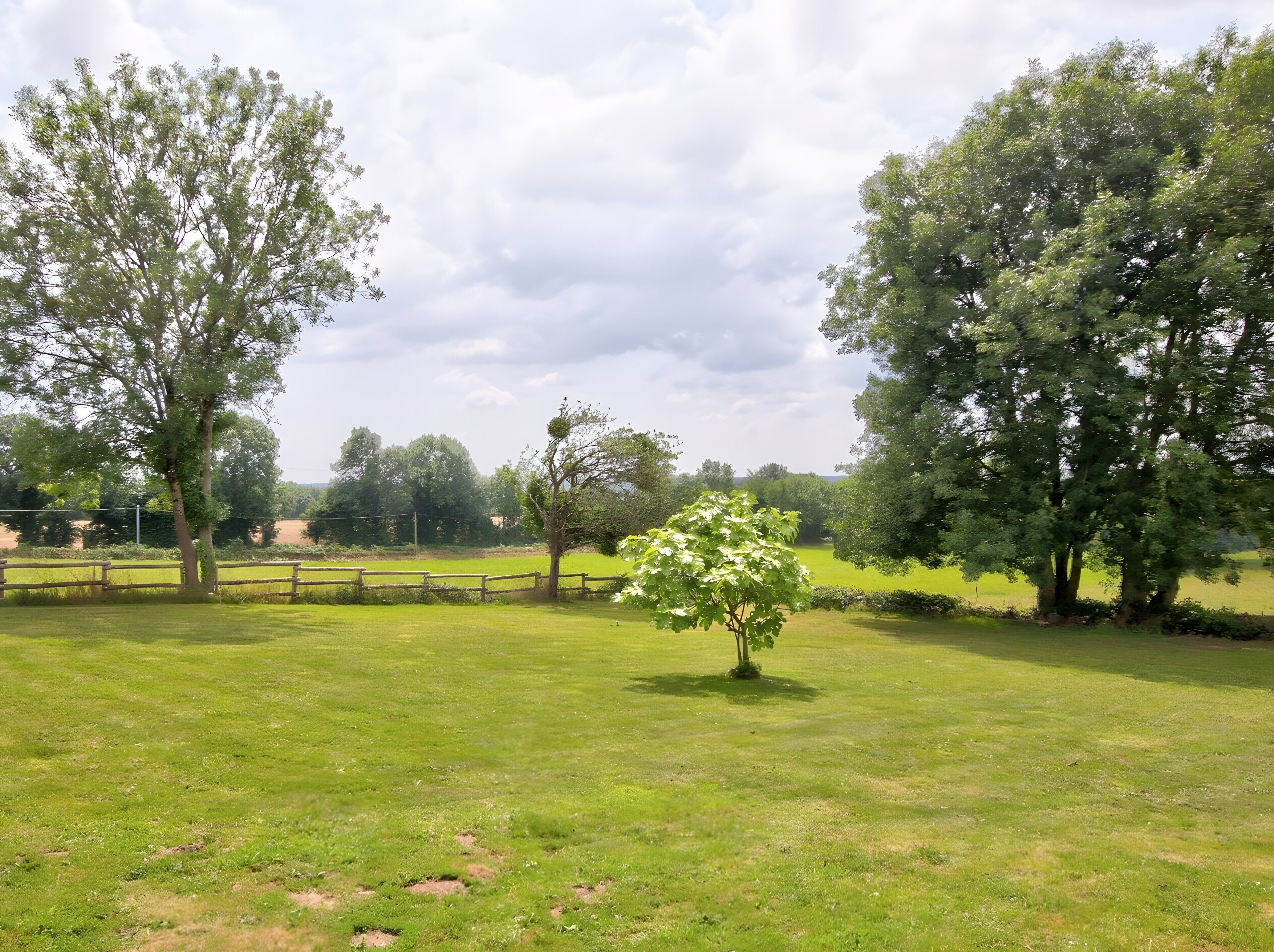 A grassy field with trees and a wooden fence.