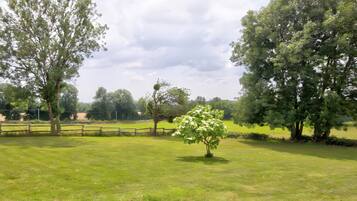 A grassy field with trees and a wooden fence.