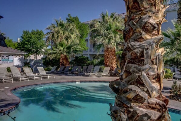 A swimming pool with lounge chairs and palm trees. - Las Palmas Resort #808 | All-Inclusive Amenities (Saint George)