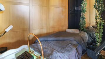 A room with a bed, a small sink with a handheld showerhead, a chair, and a plant.