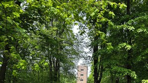 Uma trilha na floresta que leva a um edifício de pedra.