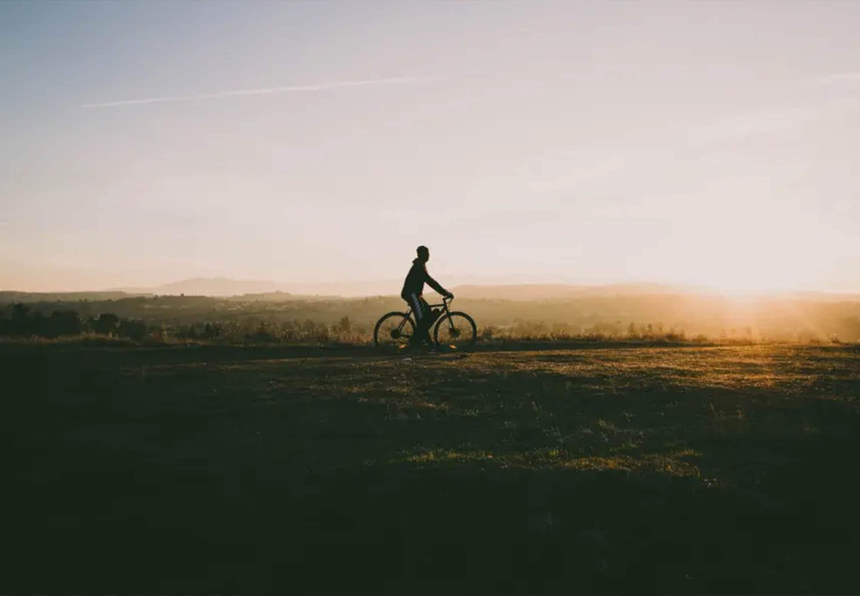 Chalet | Miscellaneous