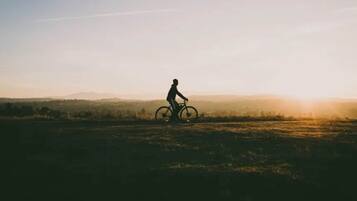 Chalet | Miscellaneous