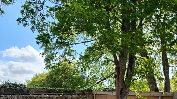 A stone wall, wooden table, white chairs, and a tree in a backyard. - Le nouvel Érable, country house a haven of peace and greenery (Chamant)