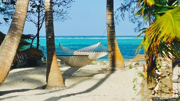 A hammock tied between palm trees on a sandy beach with the ocean in the background. - Pangachumvi Beach Resort (Matemwe)