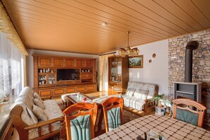 تلفزيون، مدفأة