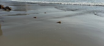 Monkey Mountain/Khao Takiab townhome, 2 minute walk to Hua Hin's favorite beach