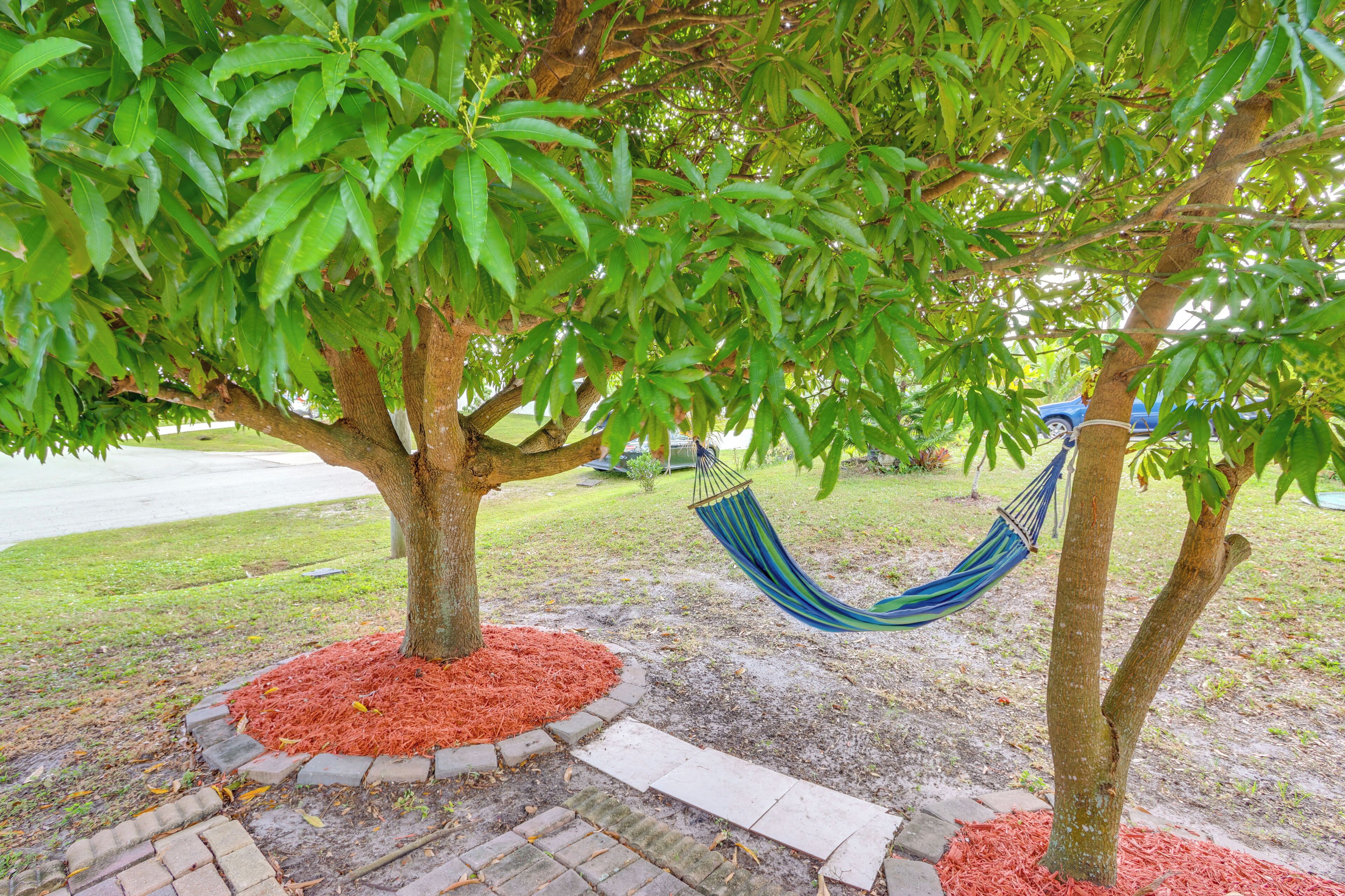 Un hamac suspendu sous un arbre, dans un jardin aménagé avec un chemin en briques et des bordures de paillis.