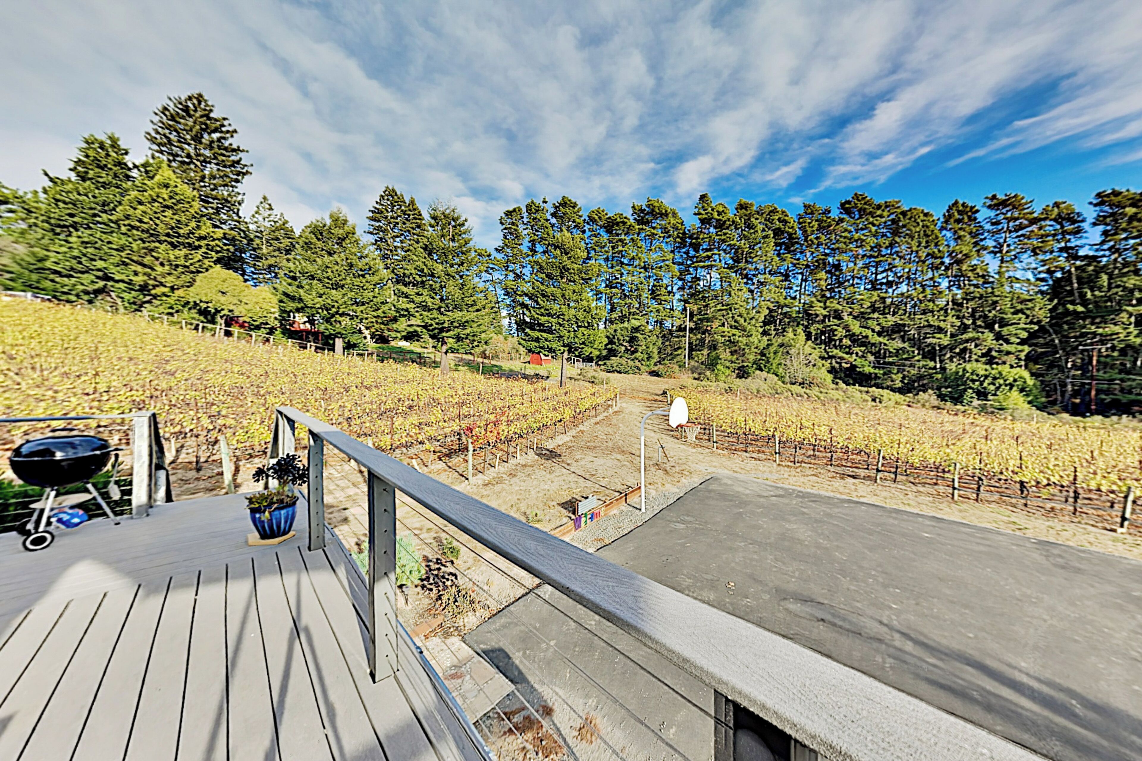 Eine Terrasse mit Grill und Pflanzkübeln, mit Blick auf einen Weinberg mit Rebenreihen und hohen Bäumen.