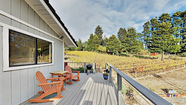 A wooden deck with Adirondack chairs and a grill, overlooking a vineyard. - Mtn-view Retreat w/ Hot Tub + Deck in Sebastopol (Sebastopol)