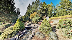 A landscaped garden with various trees, a small bridge, and a pathway. - Mtn-view Retreat w/ Hot Tub + Deck in Sebastopol (Sebastopol)