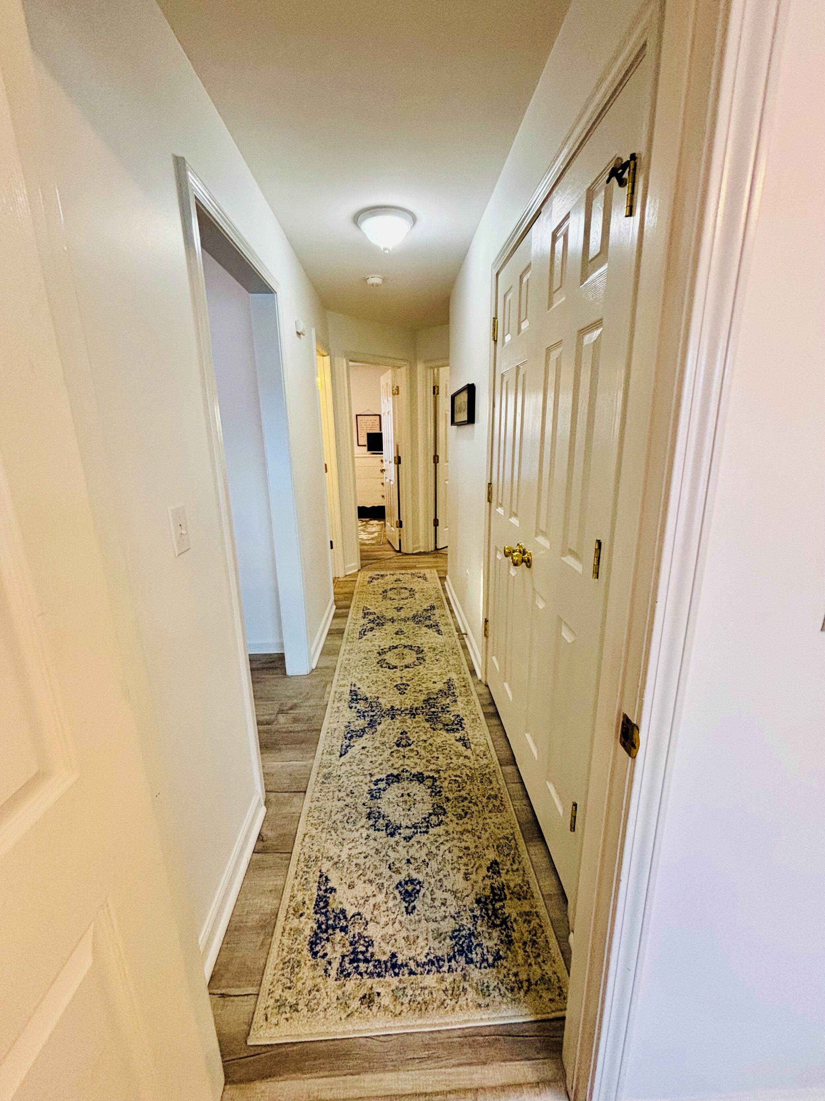 A hallway with a patterned rug, white walls, and a door with a brass handle.
