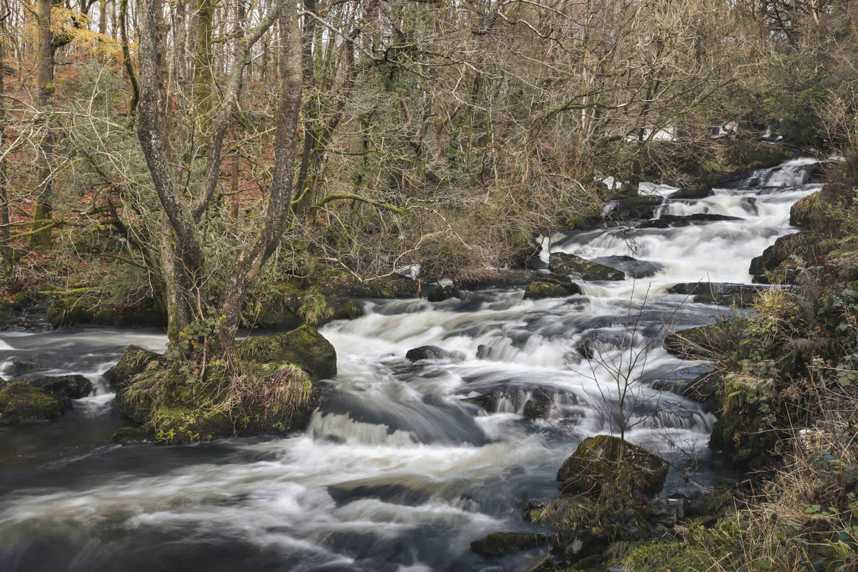 Een natuurlijke waterval omringd door bomen en rotsen.