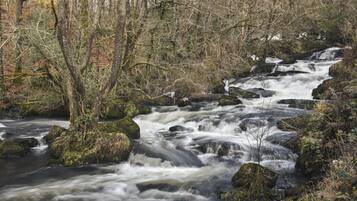 Een natuurlijke waterval omringd door bomen en rotsen.