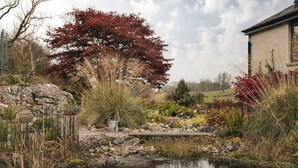 A garden with a pond, rocks, and various plants. - The Lookout With 1 Bedrooms and 1 Bathrooms (Grange-over-Sands)