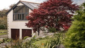 1 habitación y acceso a internet