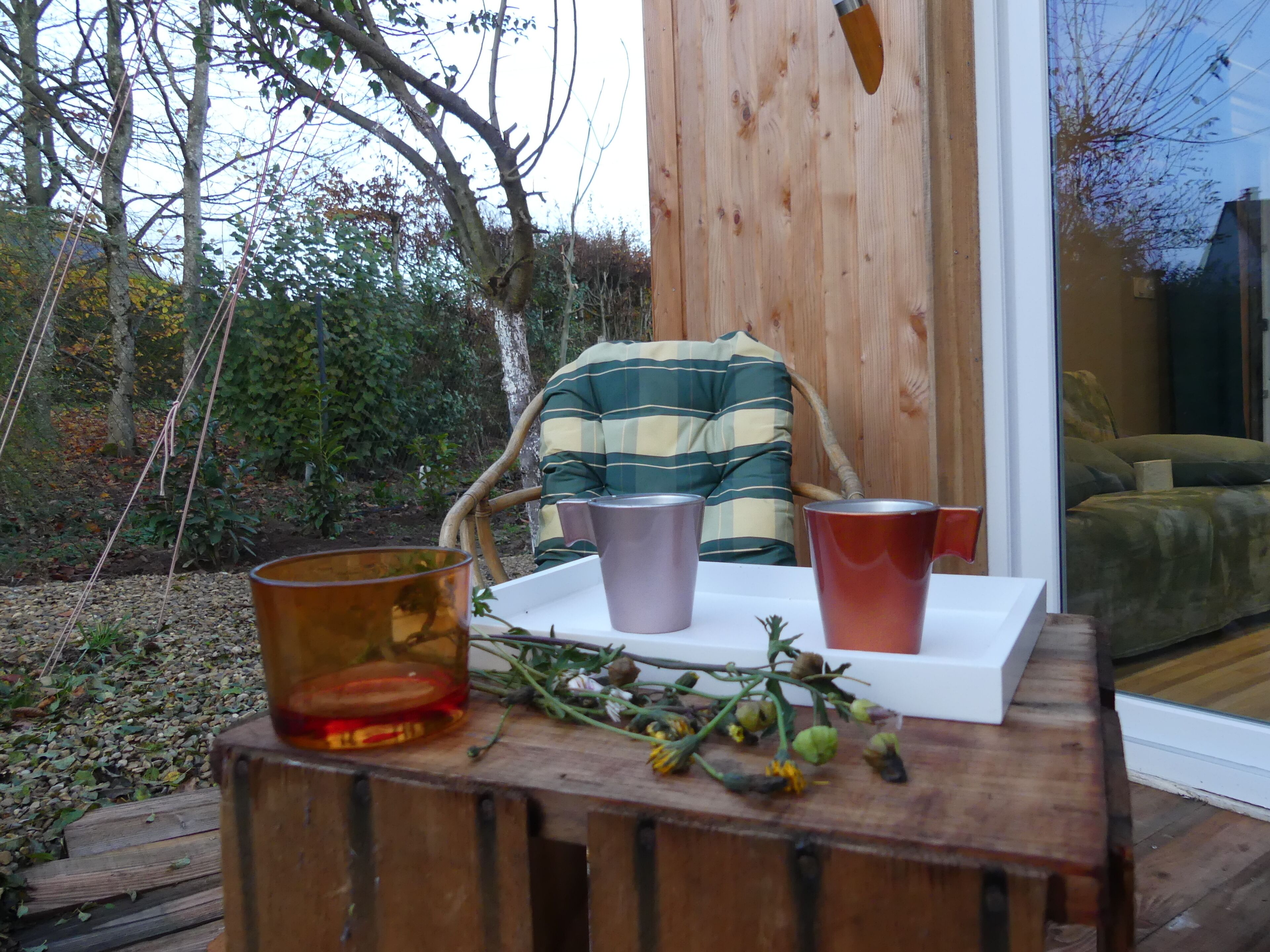 テラス / パティオ