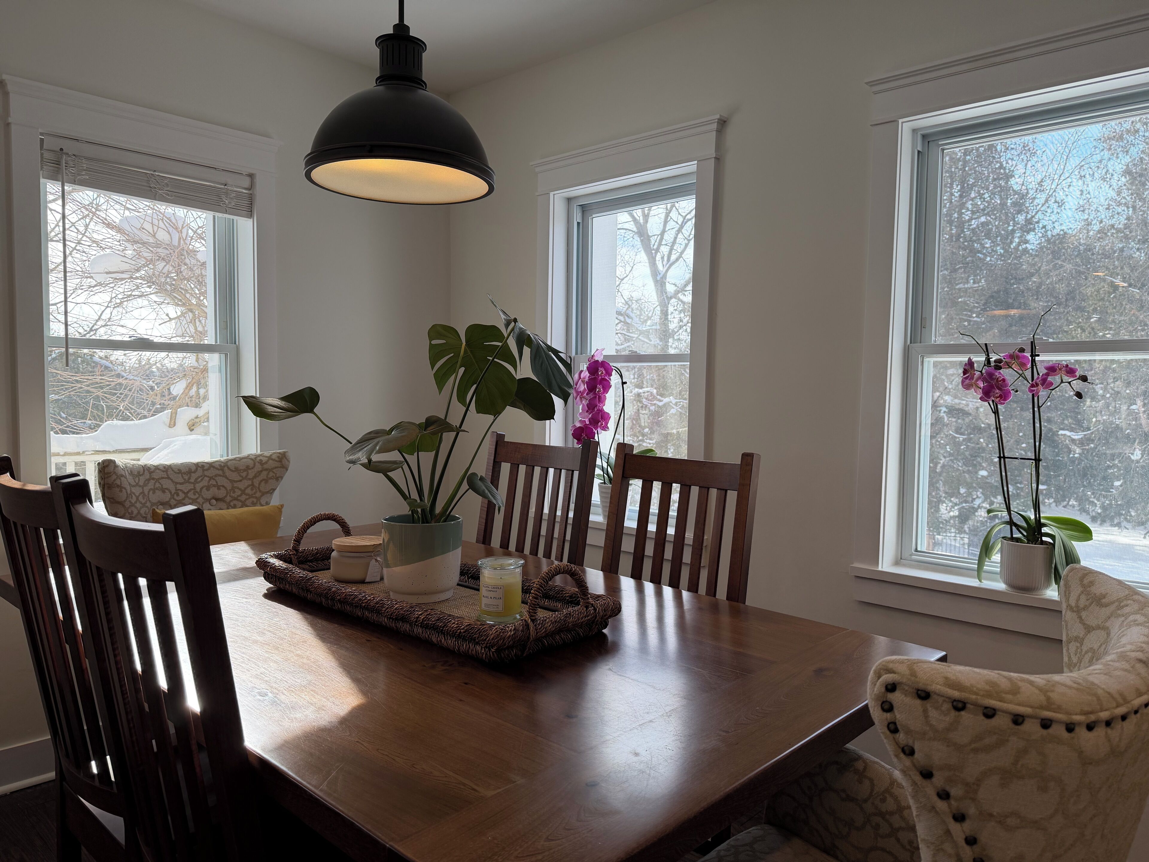 A dining area with a wooden table, chairs, a hanging light fixture, and potted plants.