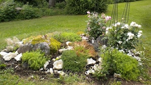Ein Garten mit vielfältigen Pflanzen und Blumen, darunter weiße Rosen, umgeben von Steinen und viel Grün.