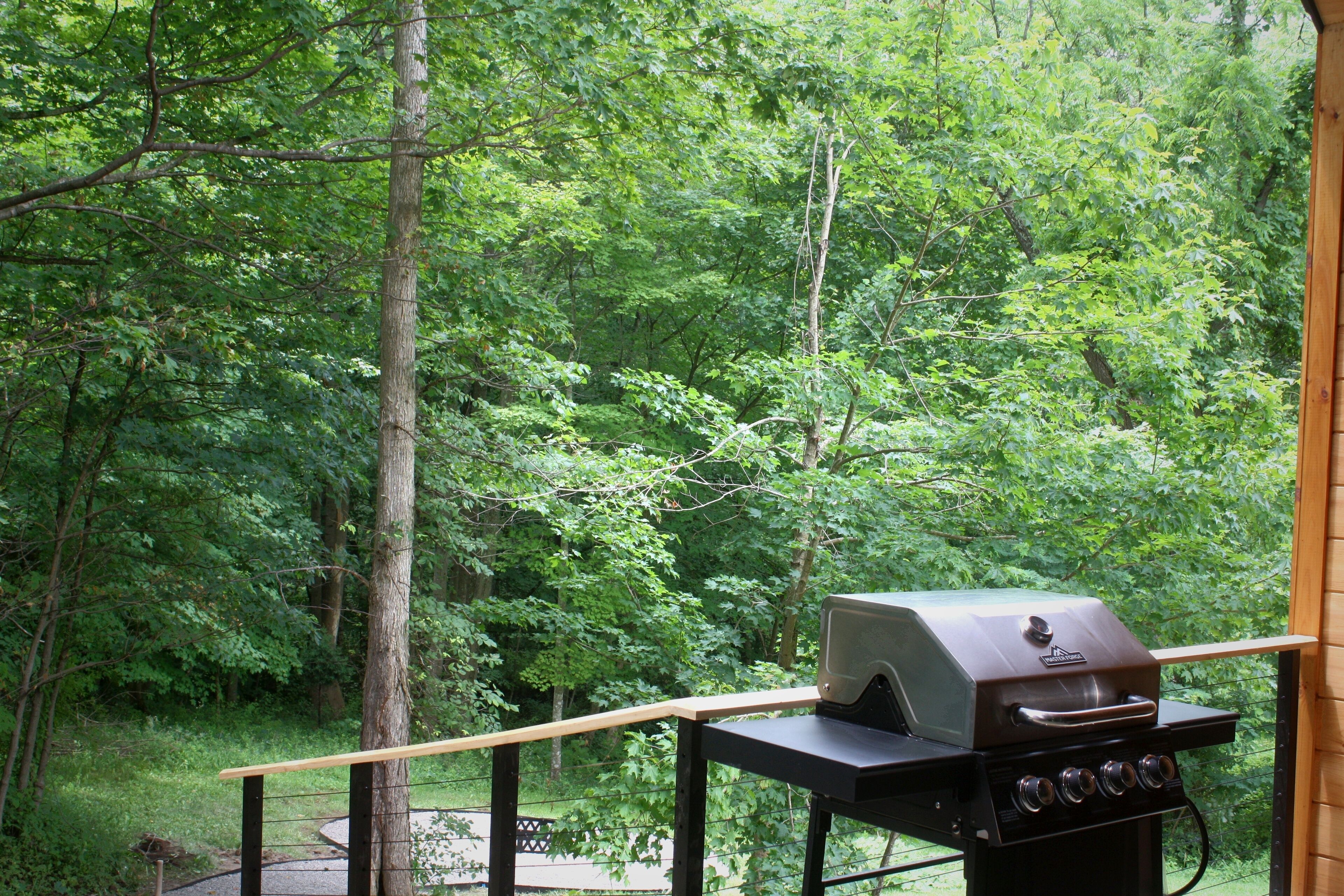 Un barbecue installé sur une terrasse en bois, avec vue sur une zone boisée.
