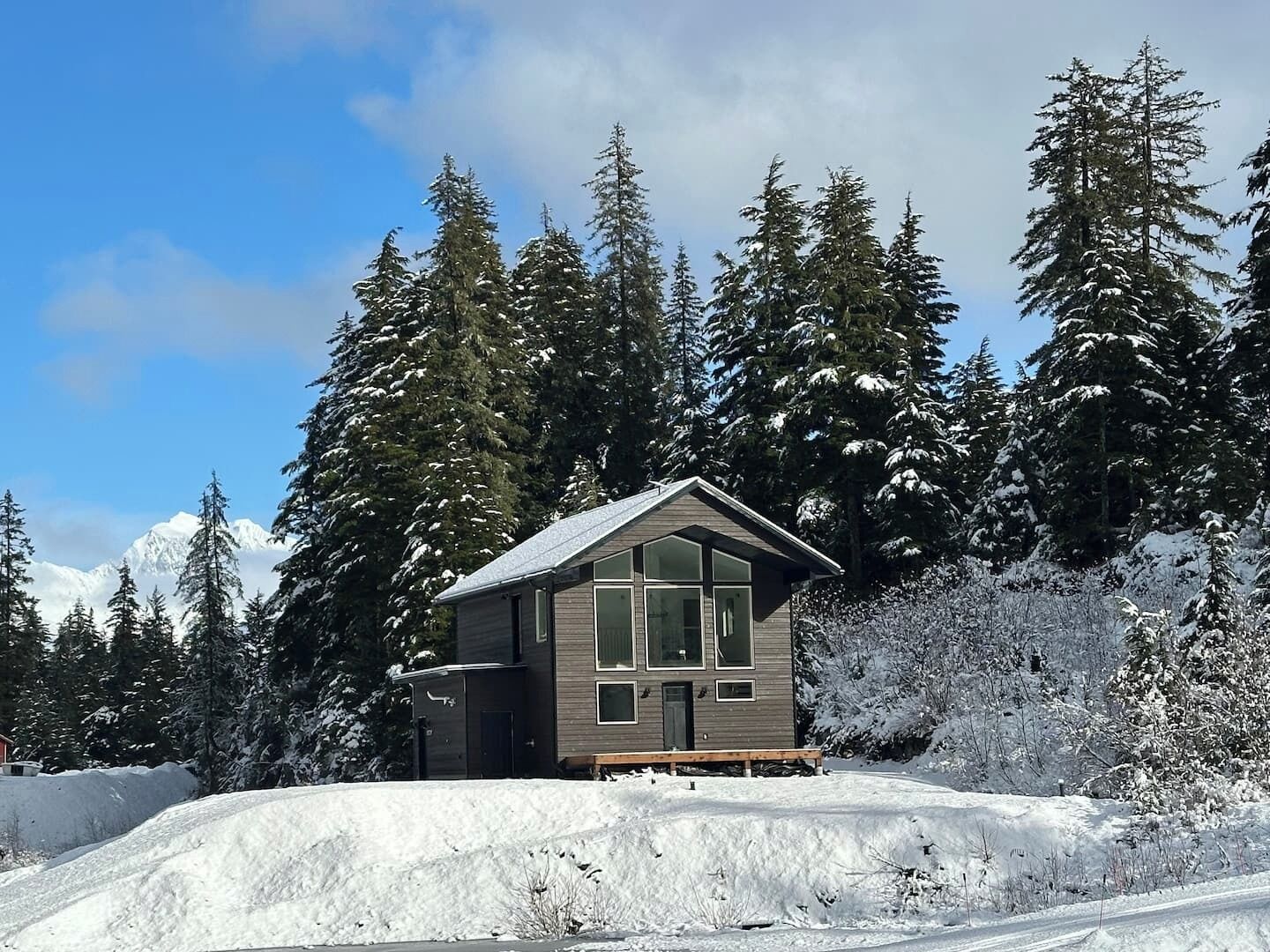 Winter chalet views. 