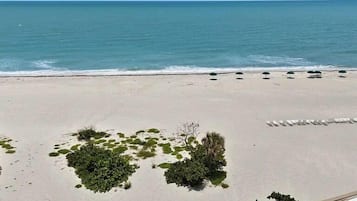 A beach with a clear view of the ocean, a sandy shore, and some greenery.