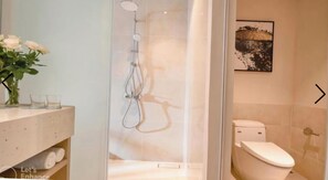 Regadera, secadora de cabello, bidet, toallas