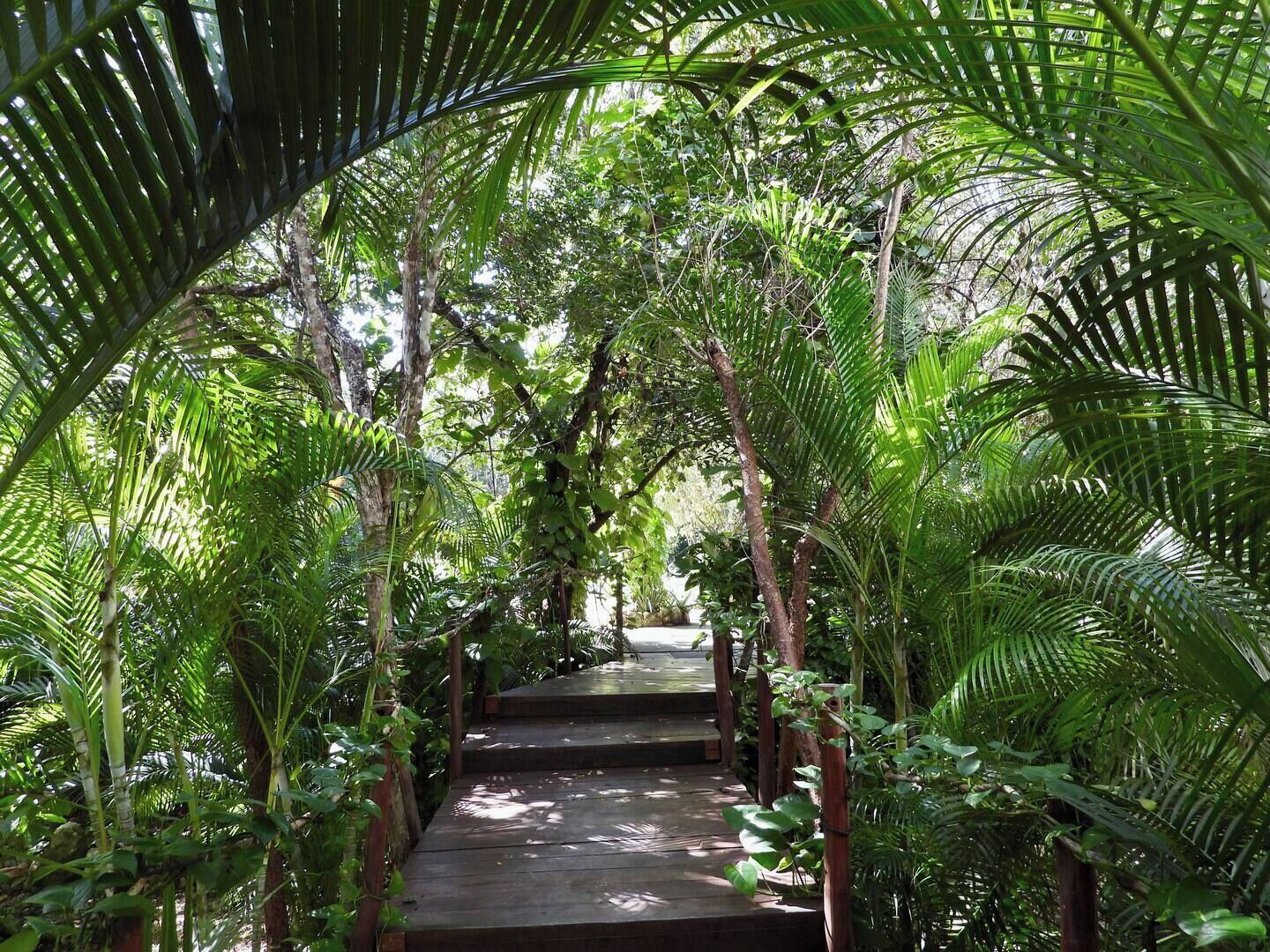 Jardines del alojamiento