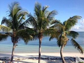 A beach with three palm trees and a clear view of the ocean. - Trip Around the Sun 2/2 + dockage & Cabana Club (Key Colony Beach)