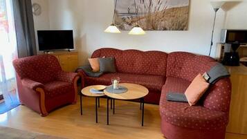 Televisión y chimenea