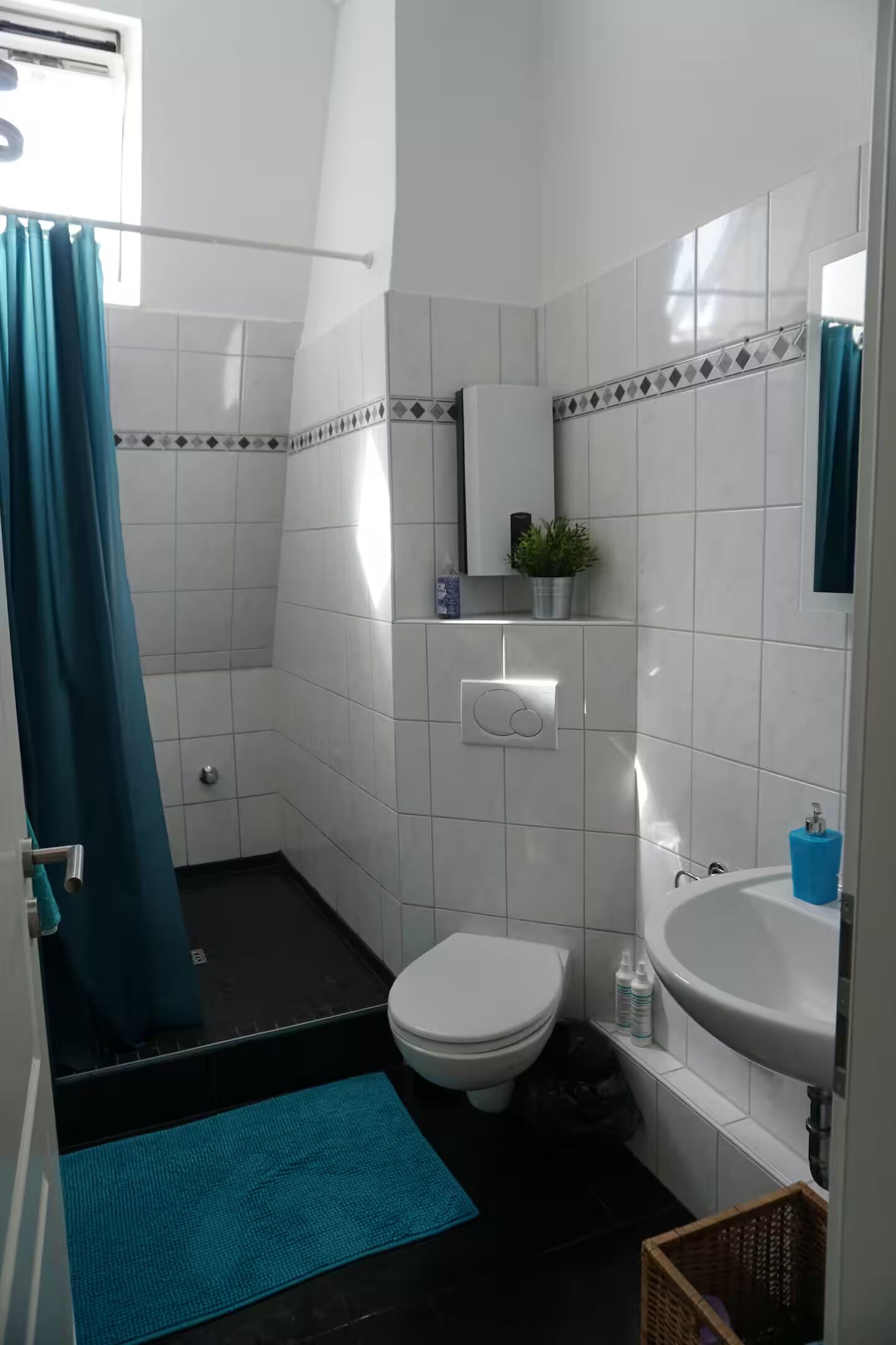 Shower, towels, toilet paper