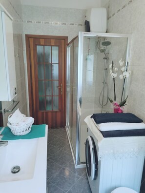 Shower, hair dryer, bidet, towels