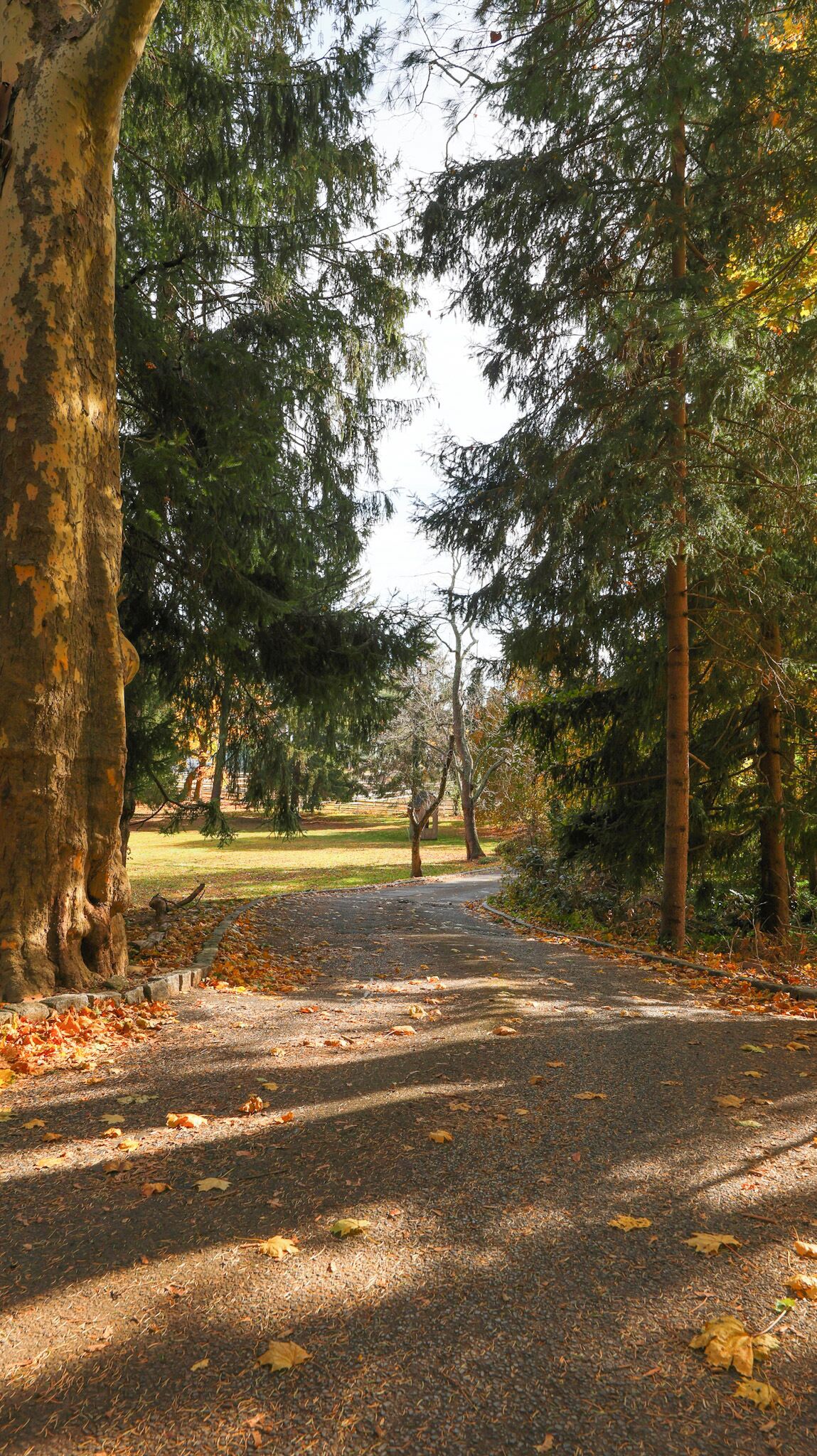 Área da propriedade