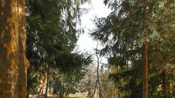 Área da propriedade