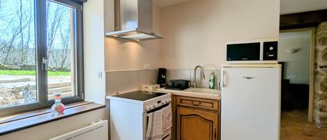 Microondas, horno y placa de cocina