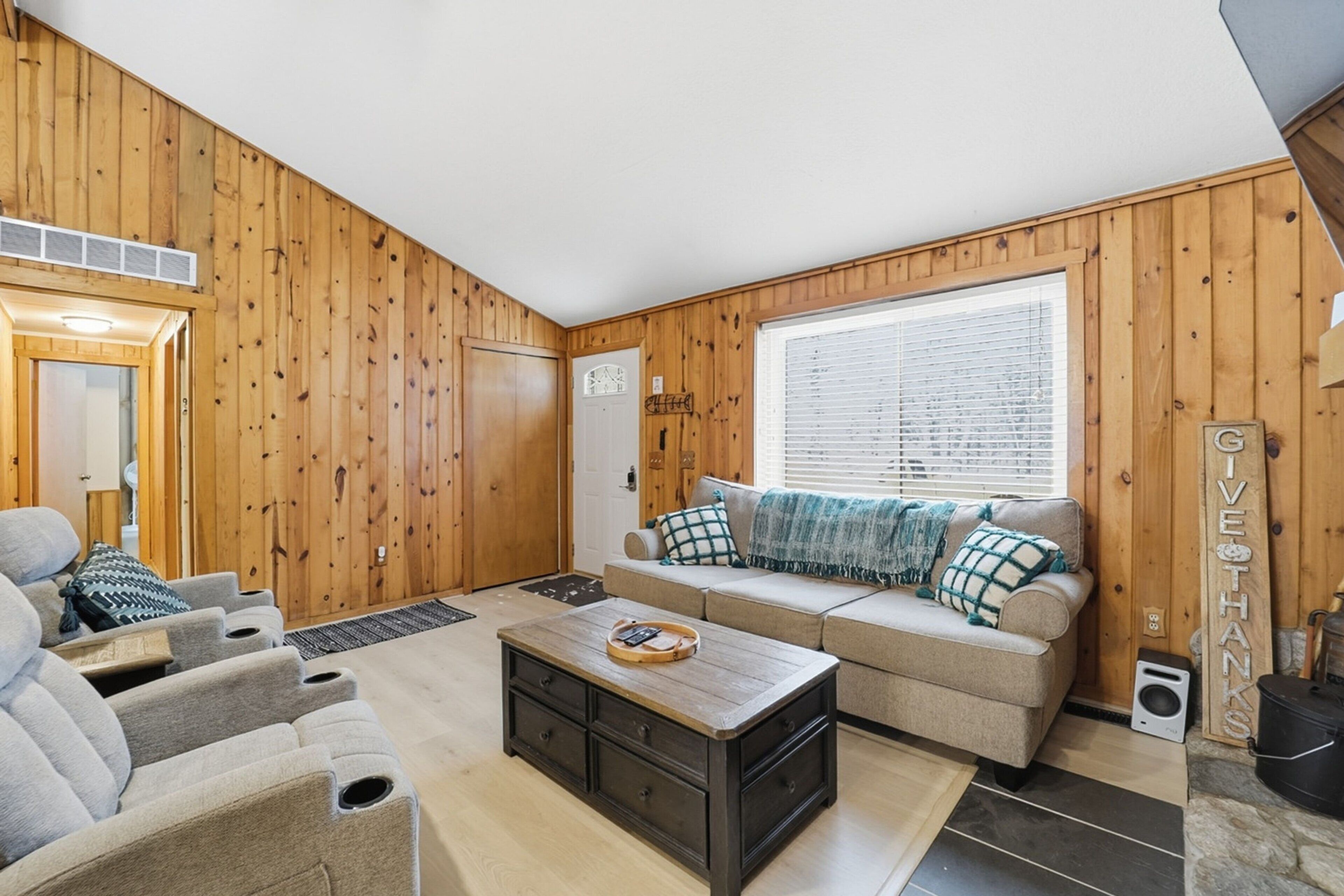 Télévision, cheminée, jeux vidéo, lecteur de DVD